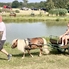 Fortyogott a bogrács, szákba kerültek a halak – XII. Pinka-völgyi Halas Nap Vaskeresztesen