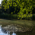 Ilyen az ősz a Kámoni Arborétumban
