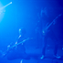 Évzáró rockbuli a Red Rockets-sel és a Vadvágánnyal Évzáró rockbuli a Red Rockets-sel és a Vadvágánnyal