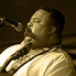Hatlövetű galeri - McCray, Pribojszki és Éles blues napi sortüze a Lamantin Jazz Fesztiválon