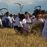 Rendet vágtak a búzában - XXVII. Aratóünnep Bükön