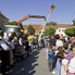 Májusfát állítottak, ennek örömére táncra is perdültek Kőszegen