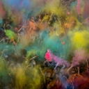Az MTI/MTVA külső fotóriportere, Mohai Balázs Color party a Sziget fesztiválon című képe, amely első helyezést nyert a 32. Magyar Sajtófotó Pályázat művészet (egyedi) kategóriájában. Az MTI/MTVA külső fotóriportere, Mohai Balázs Color party a Sziget fesztiválon című képe, amely első helyezést nyert a 32. Magyar Sajtófotó Pályázat művészet (egyedi) kategóriájában.