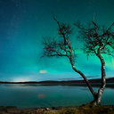Fotó: Tommy Eliassen / Barcroft Media