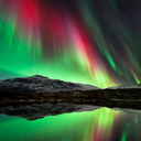Fotó: Tommy Eliassen / Barcroft Media