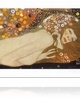 Klimt, a nőcsábász szecesszionista