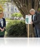 A fa érték! táblákat avattak Szombathelyen - Akár százmillió forintot is érhetnek a városi fák