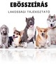 Ebösszeírás 2026 Szombathelyen - Itt vannak a részletek Ebösszeírás 2026 Szombathelyen - Itt vannak a részletek