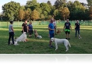 Viselkedéstan nemcsak kutyáknak - A kőszegi kutyafuttatón jártunk