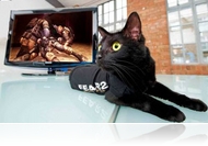  Péntek 13 és egyéb babonáink - Tükörtörés, kéményseprő, fekete macska