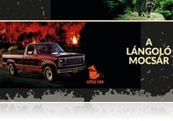 TEK-esektől rettegett a szerző, miközben a könyvét írta