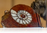 A természet harmadik birodalma - Kőzetcsodák a Kámoni Arborétumban