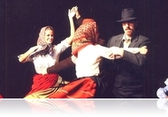 A Bakony Néptáncfesztiválról hozott díjat az NYME SEK Szökős Néptáncegyüttes