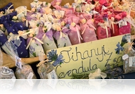 Az ezerarcú levendula - Lila színű csodanövény Tihanyból