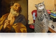 Így pózolnak a macskák művészportrékra