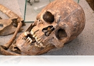 Ékszerek, pénzérmék, csontok: ókortöredékek az Iseumban