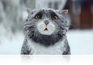 Zsepiket elő: most ezeken a karácsonyi reklámokon sír mindenki