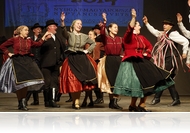 A szülőföld kincsei - Vasi Néptáncpanoráma 2014 (fotóriport)