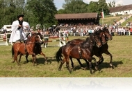 Búcsúváró falunap és fogathatjó verseny Gencsapátiban (július 30.)