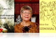 Izzó parázs hamu alatt - Feljegyzések Bősze Éva költői világáról