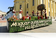 Teva: virágkocsi a gyógyítás jegyében