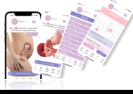 Mi hozhat megoldást az új szülészeti rendszerbe? 