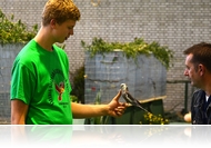 Csőrözés a ketrecben – Díszmadárkiállítás Oladon