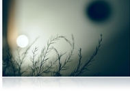 Füleket hegyezni! - Amygdala: Ear-ly Vibes