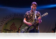 Tizennégy zenekart támogat Lovasi András