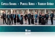Ismerős dallamok, új megvilágításban - Capella Savaria koncert a Bartók Teremben (febr. 13.)