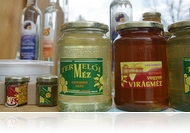 Hungarikummá nyilvánították az akácfát és az akácmézet