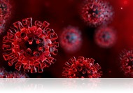 Polgármesteri döntések a kijárási korlátozás megszűnésével kapcsolatban