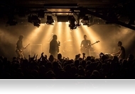 Anima, Isis Big Band és Márió, Elefánt - Zenei programoka a hétre