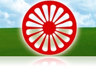 A sárvári AZK programja a nemzetközi roma világnap alkalmából