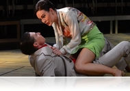 Amikor fütyül az oroszlán - Az üvegcipő, avagy a selyemnadrágos pilótaherceg és a bolond Hamupipőke esete