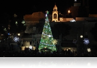 Megmutatjuk a világ legszebb karácsonyfáit