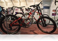 Bringamustra - kerépárkiállítás a moziaulában