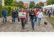 Kutyajó Nap az Állatok Világnapja alkalmából