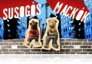 Feldobjuk magyar humor, leesik semmi?