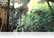 Álmokra vadászunk, avagy mit kell tudnunk az álomról?