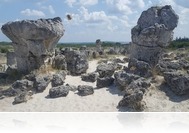 Egy szelet Bulgária - A várnai aranykincstől a balcsiki palotáig