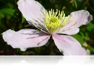 A tavasz 17 pillanata (fotóriport)