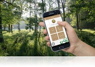 Ilyen könnyen nem azonosítottál még fát - Itt a Fa Book frissített verziója a kirándulószezonra