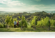 Ausztria legnagyobb borvidékei - Borkultúra és borősz Ausztriában