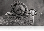 90 éve született a rímhányó Romhányi 