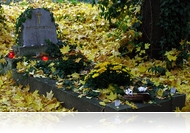 Halottak napi emlékezés és forgalmi rend változás a szombathelyi temetőkben