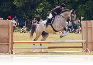 VI. Fertődi Csaladi Lovasnap