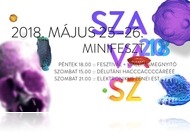 Kortárs zsongás - SZAVASZ Minifesztivál 2018 (máj. 25-26.)