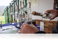 Mi lesz az ország legjobb pálinkája? - Többszáz pálinkát visz Sümegre a Pálinka Nemzeti Tanács