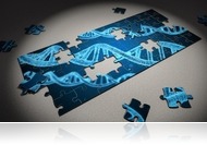 CEU Online: Határtalan tudás Falus Andrással, Almási Kittivel és Wolf Péterrel